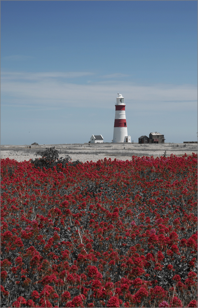 A Lighthouse Named Desire