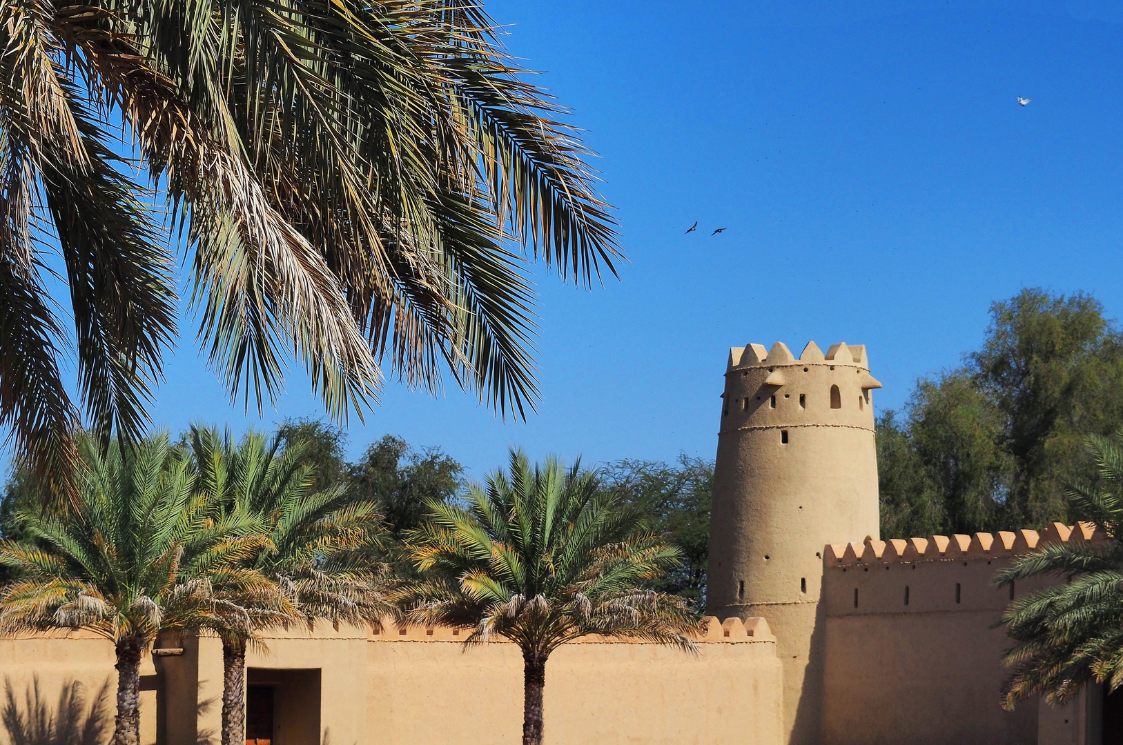 A l’intérieur du Fort Al Jahili