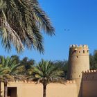 A l’intérieur du Fort Al Jahili