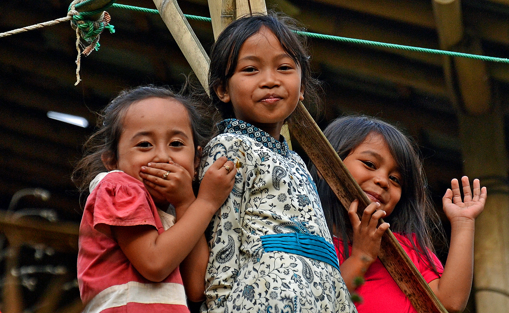 A little bit shy - Indonesia Java Island