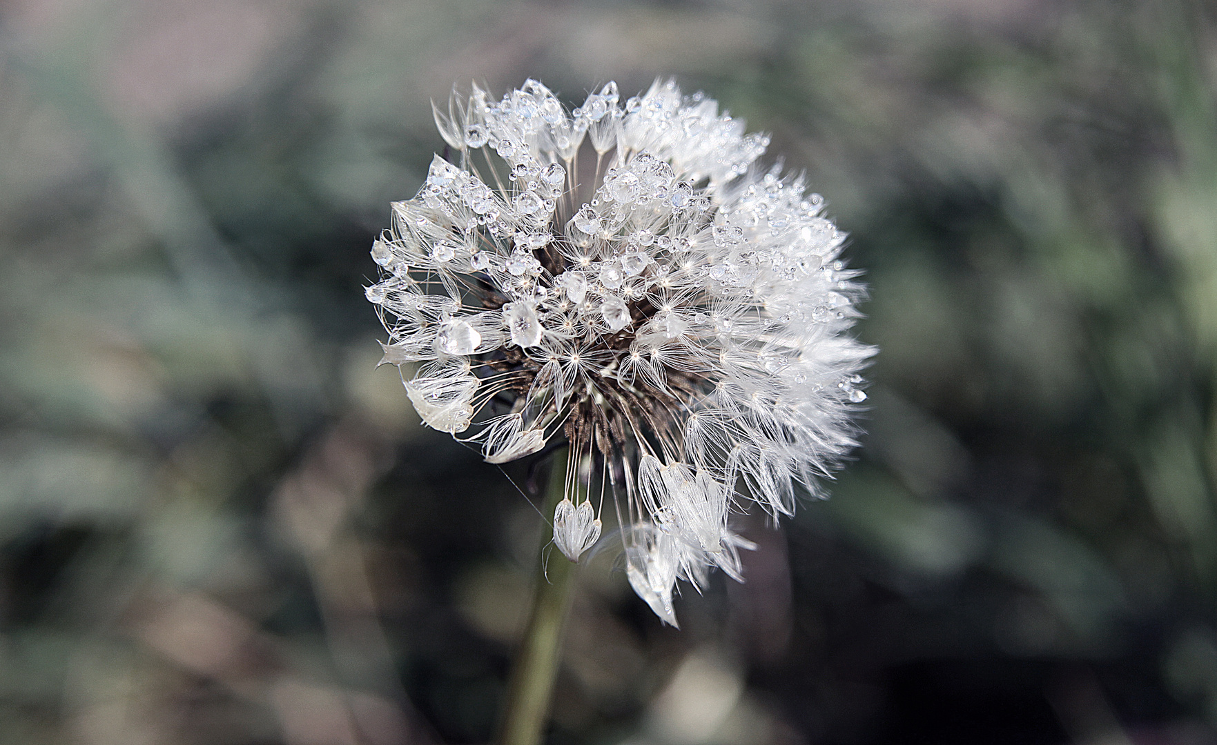 A little magic of autumn