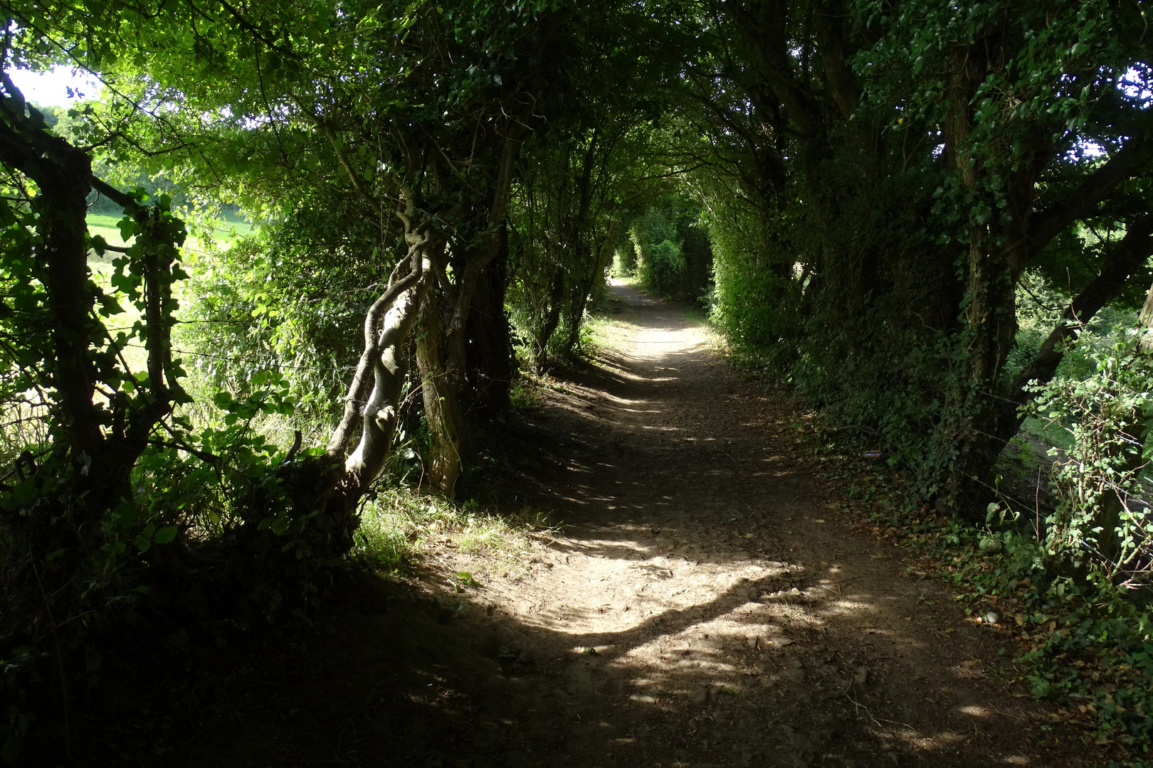 A l'ombre dans la vallée du denacre