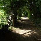 A l'ombre dans la vallée du denacre