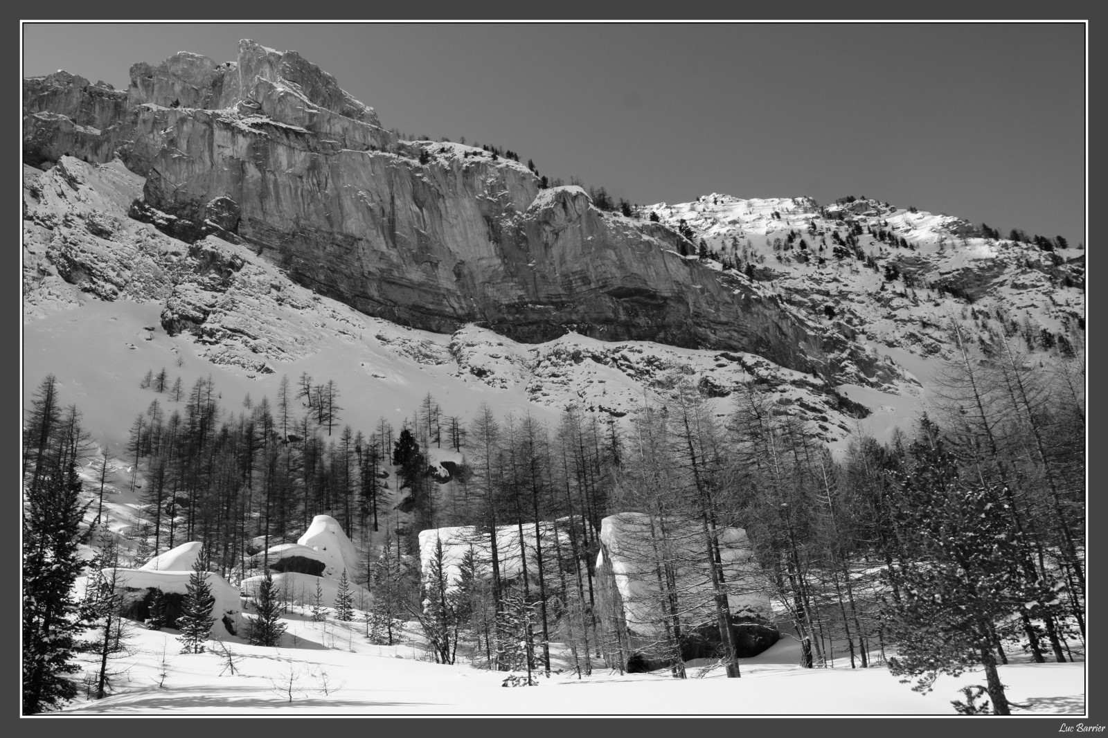 A l'ombre de sa majestée.