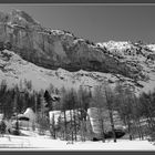 A l'ombre de sa majestée.