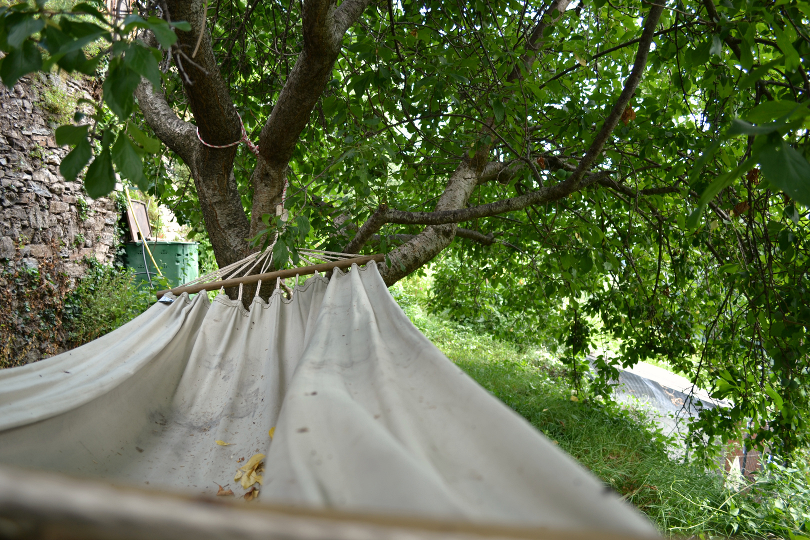 A l'ombre des arbres, une sieste.