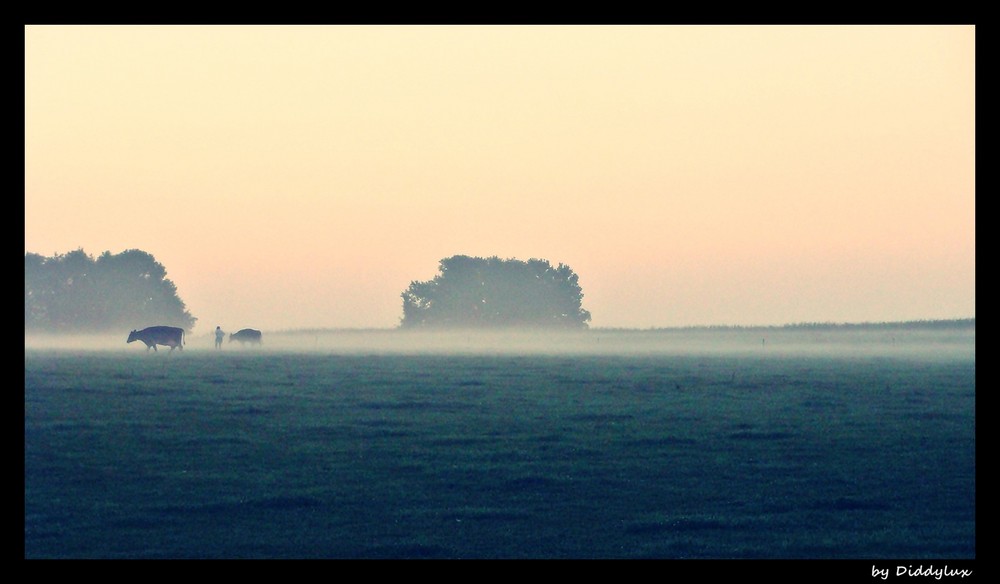 a lonely farmer