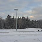 A lonely player on ice