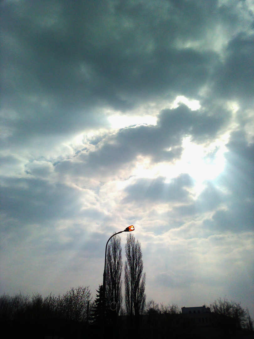 A lonely street lamp and her friends poplars