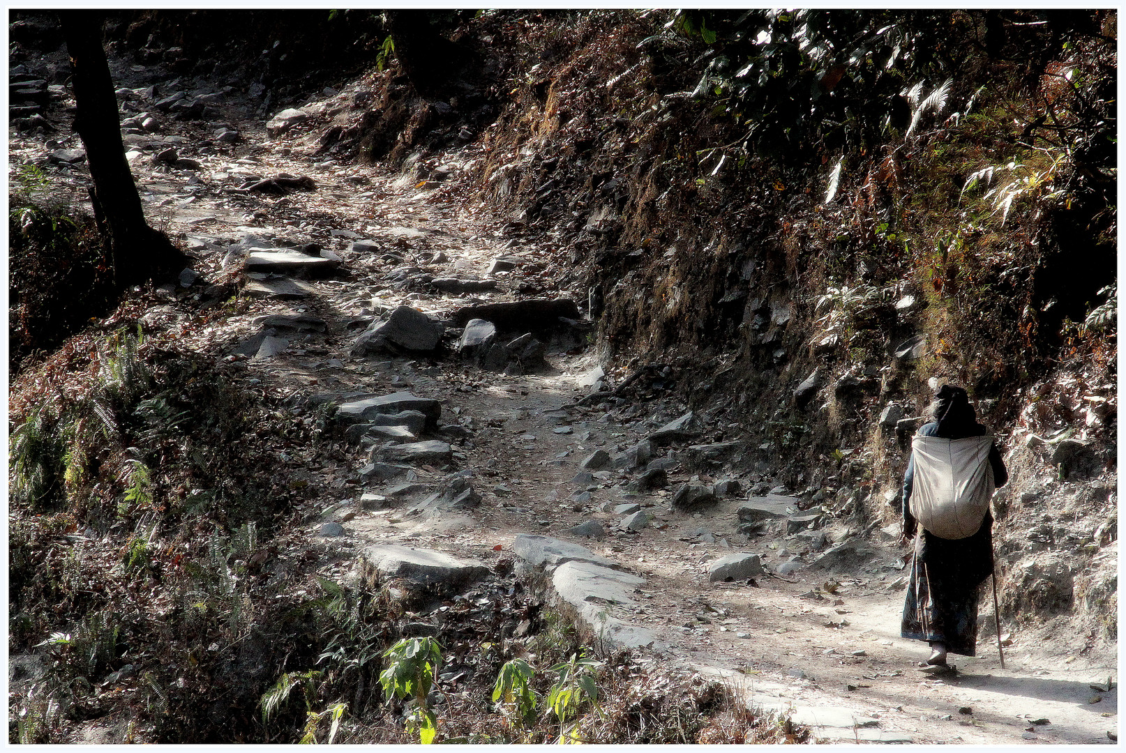 A long hard way..(somewhere in Bandipur,Nepal)