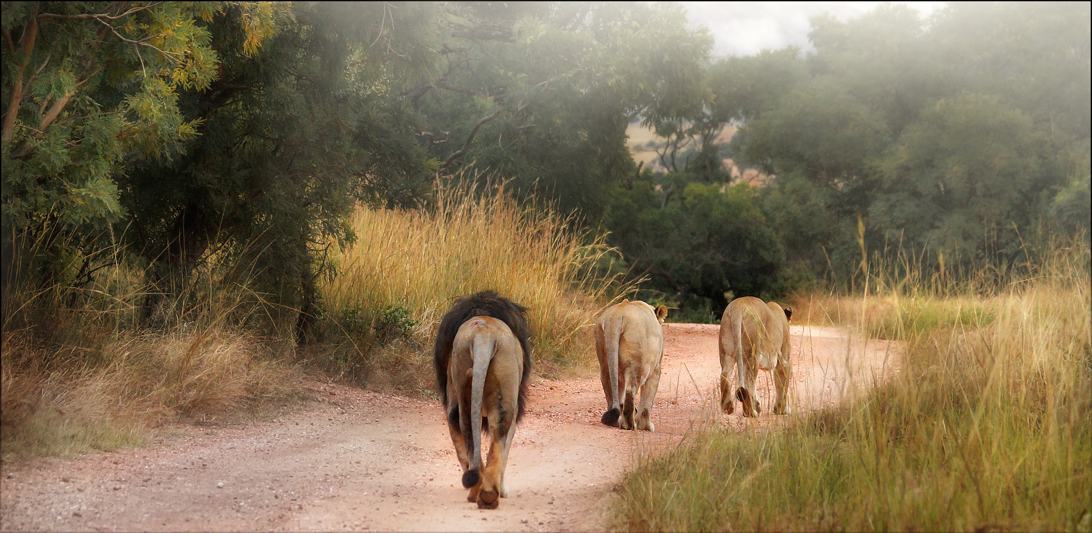 a long way...