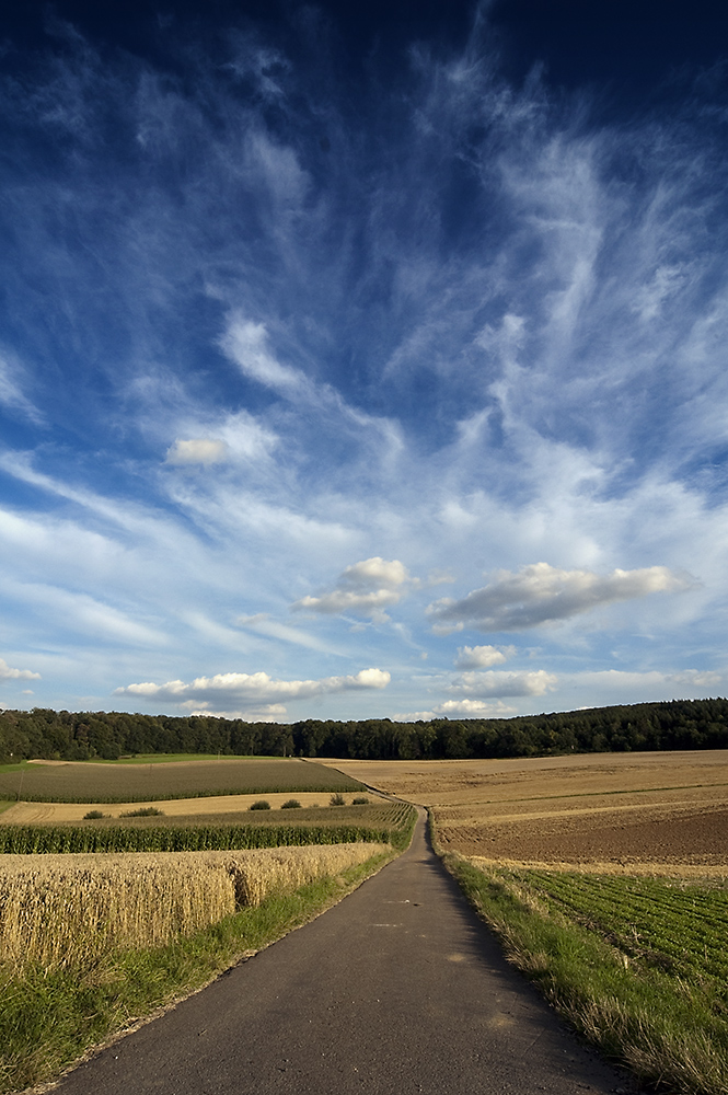 --- a long way home --- by Thomas Haug