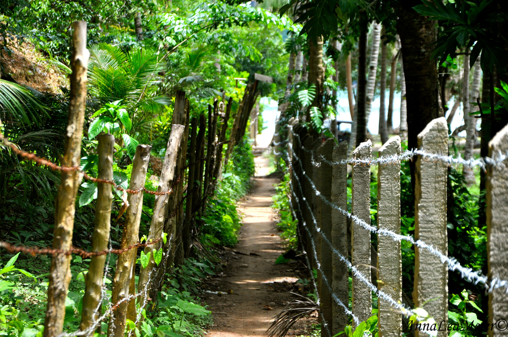 A long way to the beach