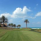 a look back - Saadiyat Beach