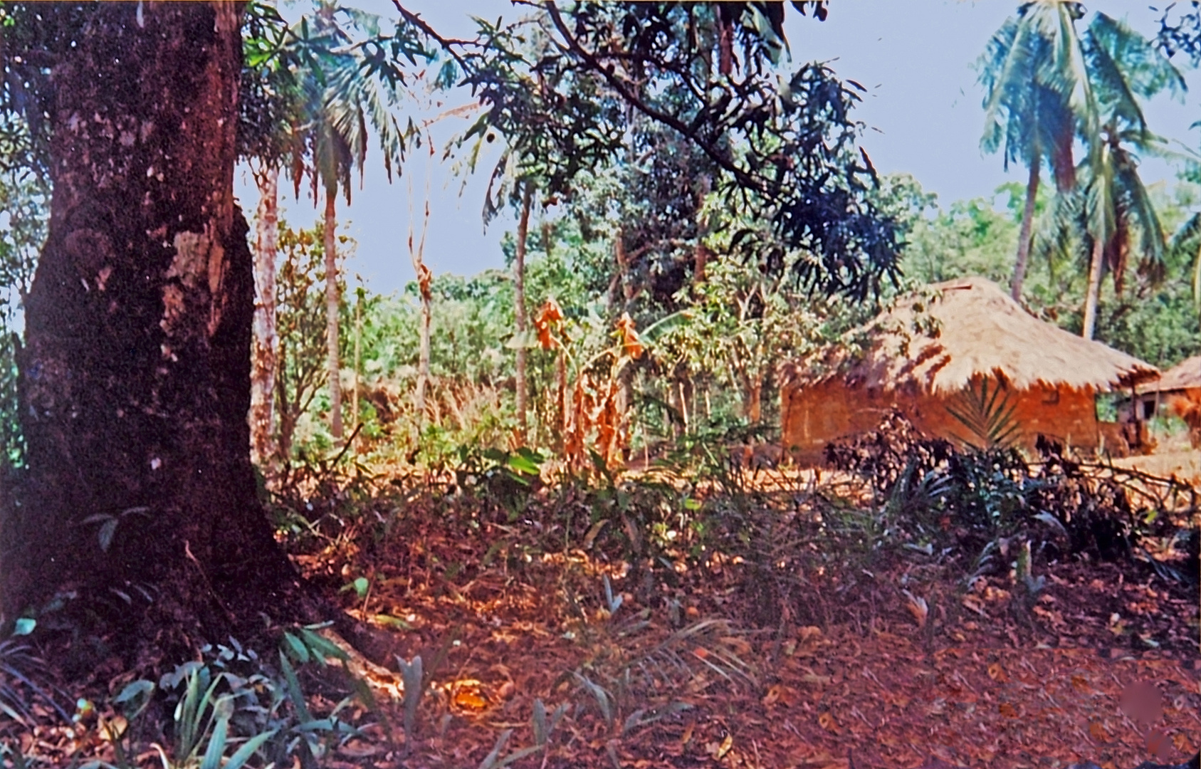 A l’orée d’un village guinéen