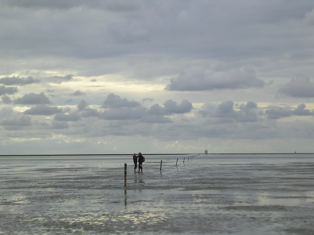 A Love In The Wadden Sea