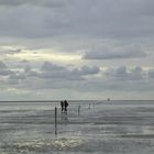 A Love In The Wadden Sea