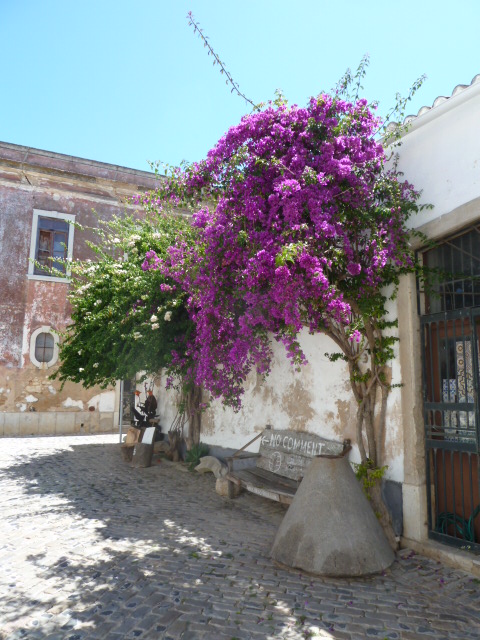 A lovely little street in the Old Town Faro