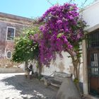 A lovely little street in the Old Town Faro