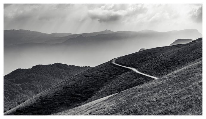 A M . M O N T E . B A L D O