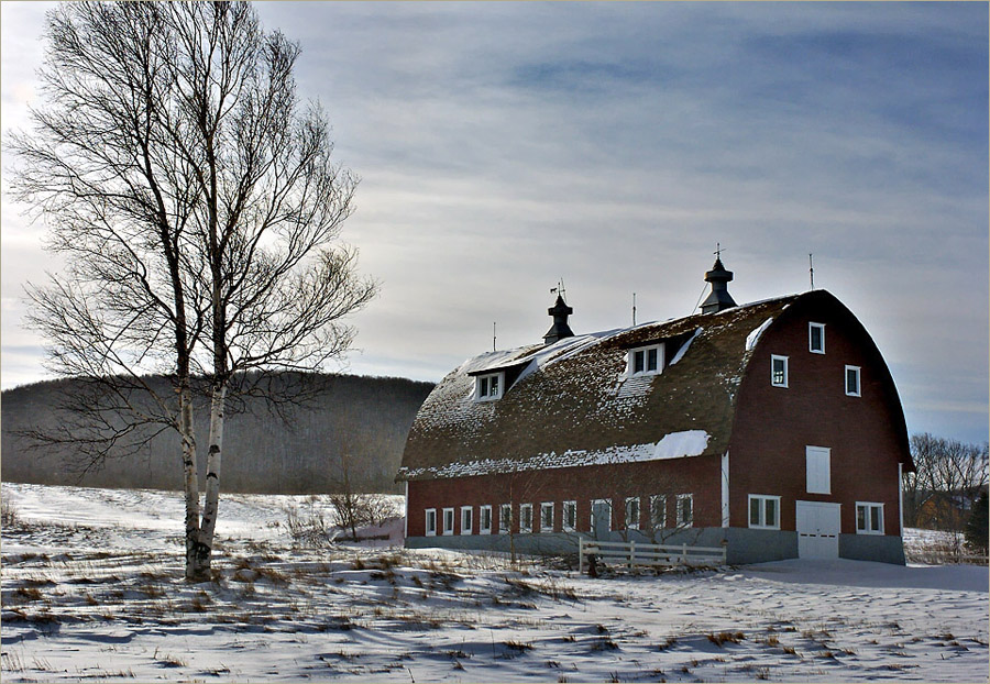 A Maine Barn In Winter