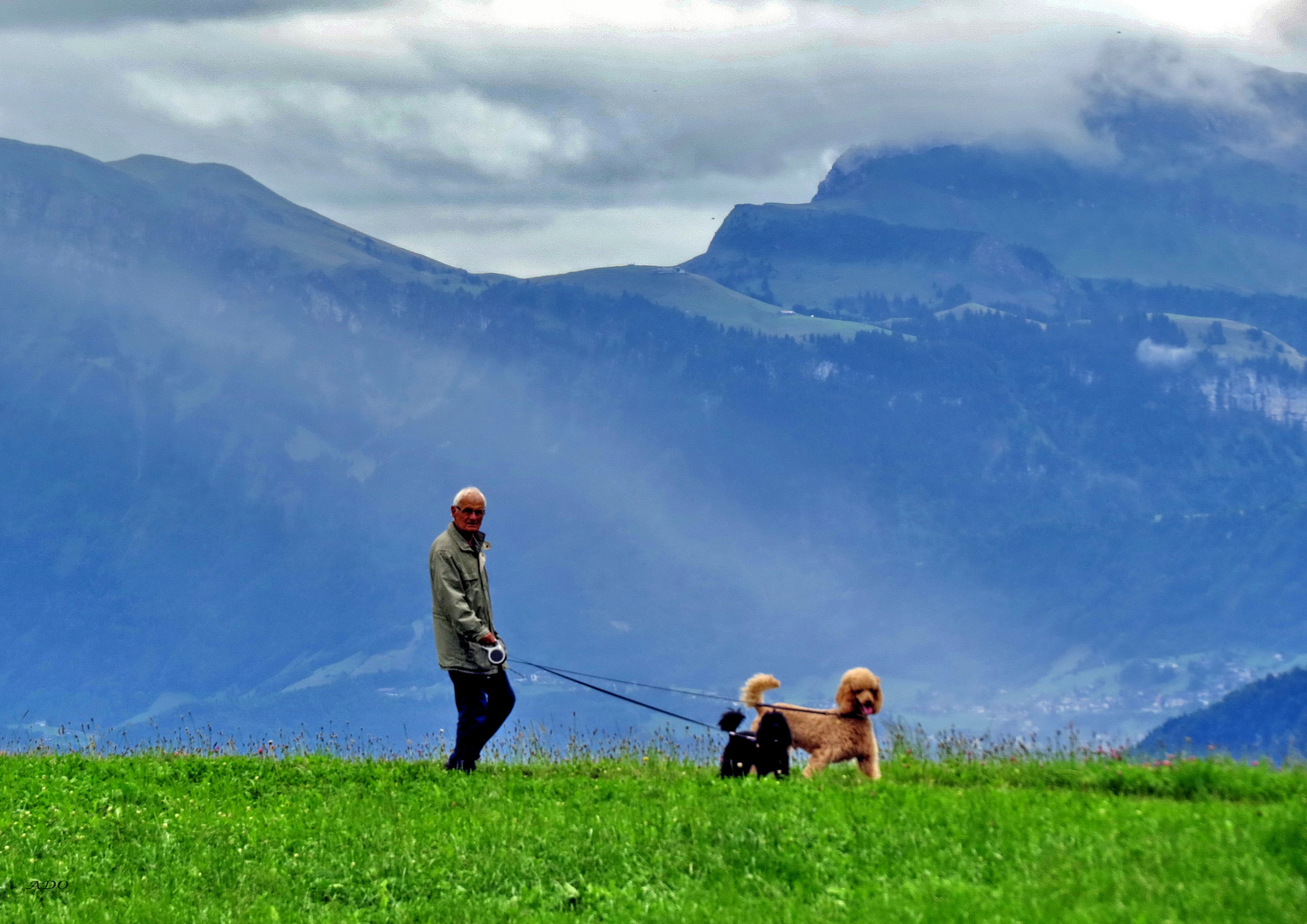 A Man and His Dogs