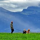 A Man and His Dogs