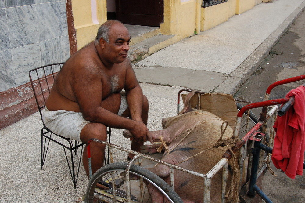 A man and his pig, Havana, Cuba