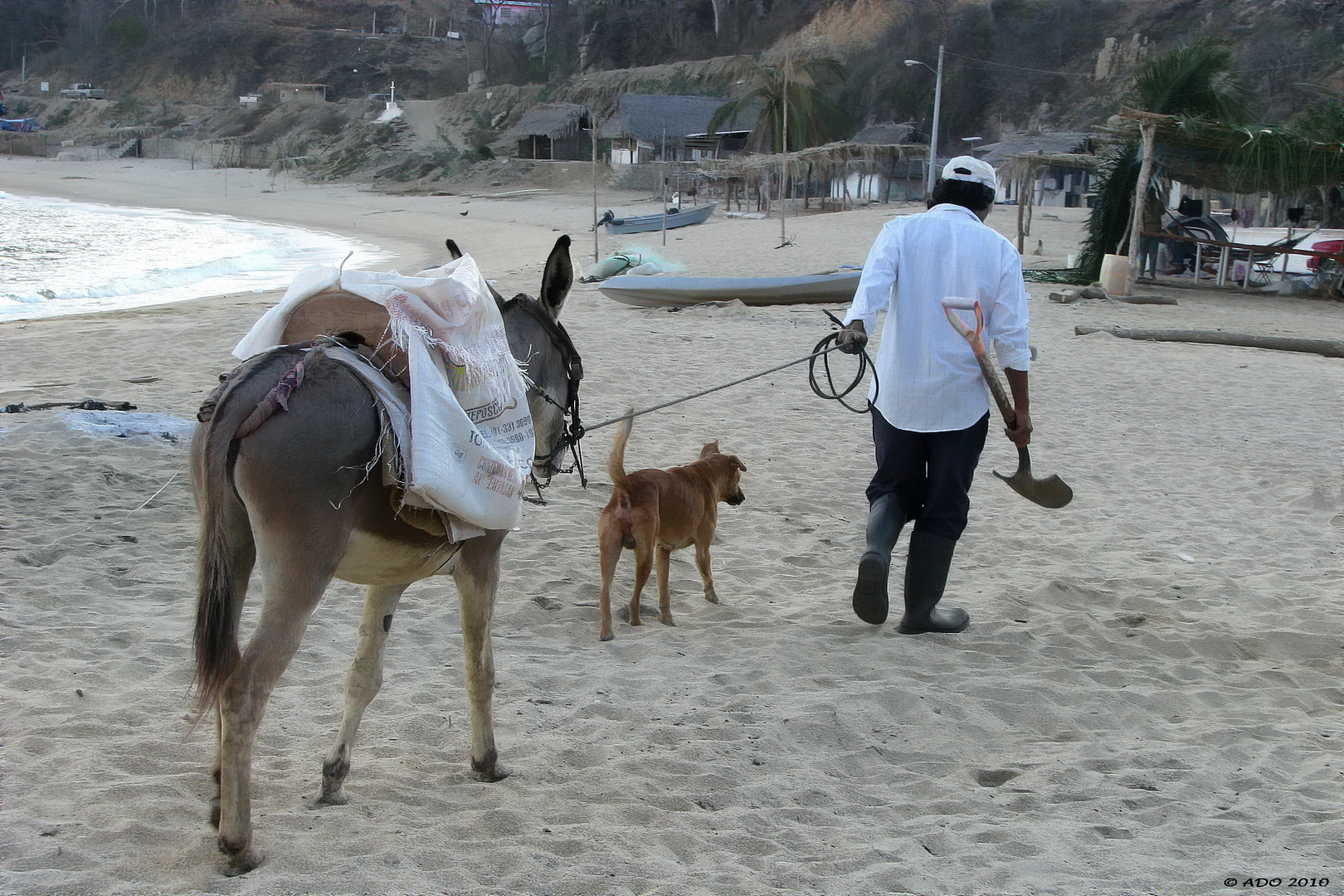 A Man, his Donkey and his Dog