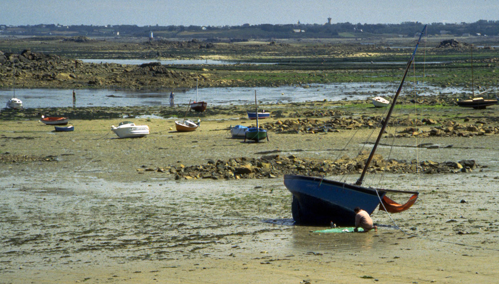 A marée basse