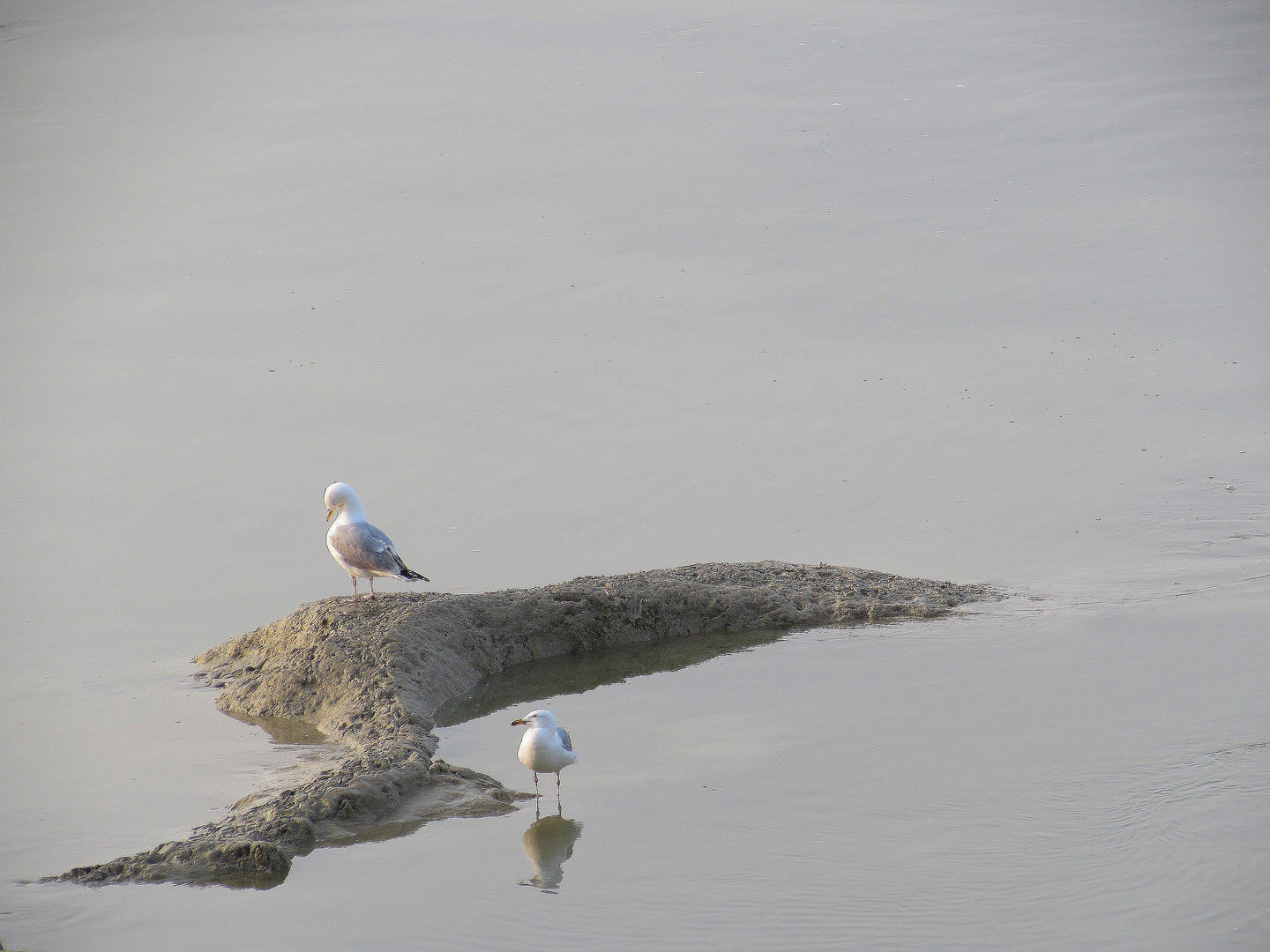 ..A marée basse..