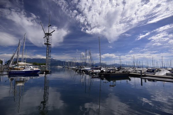 A marina in summer.