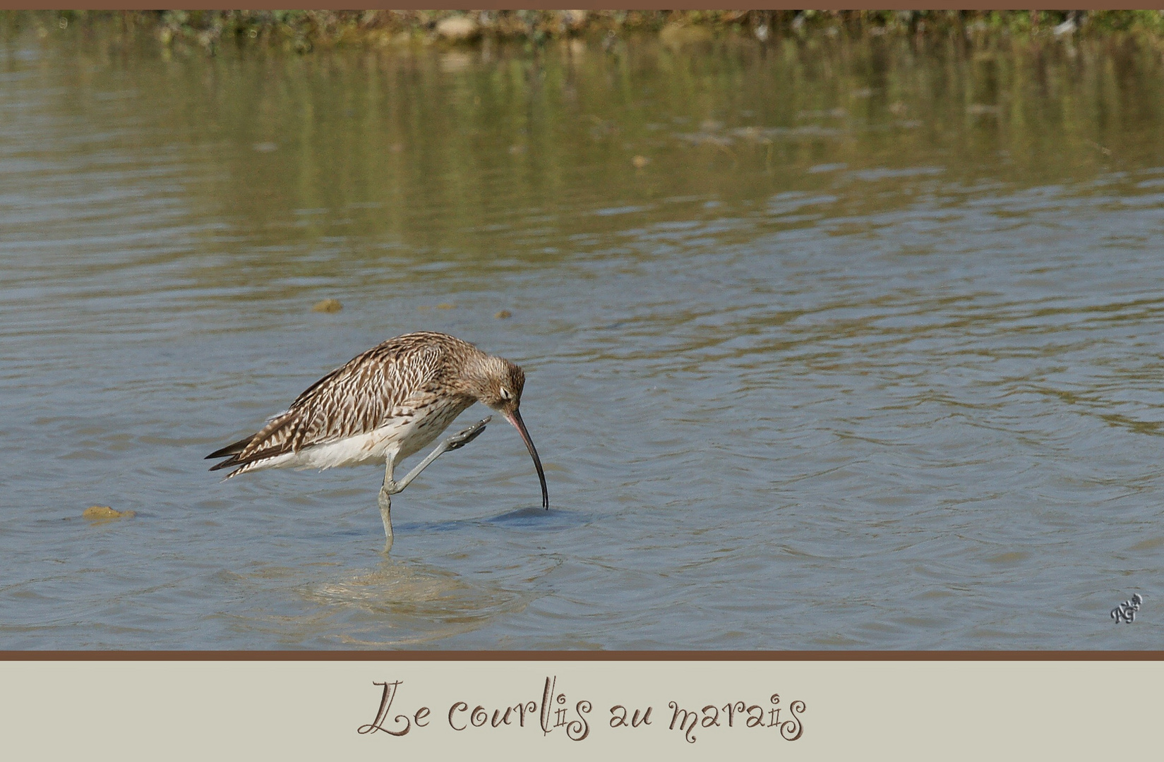 ça me gratouille...