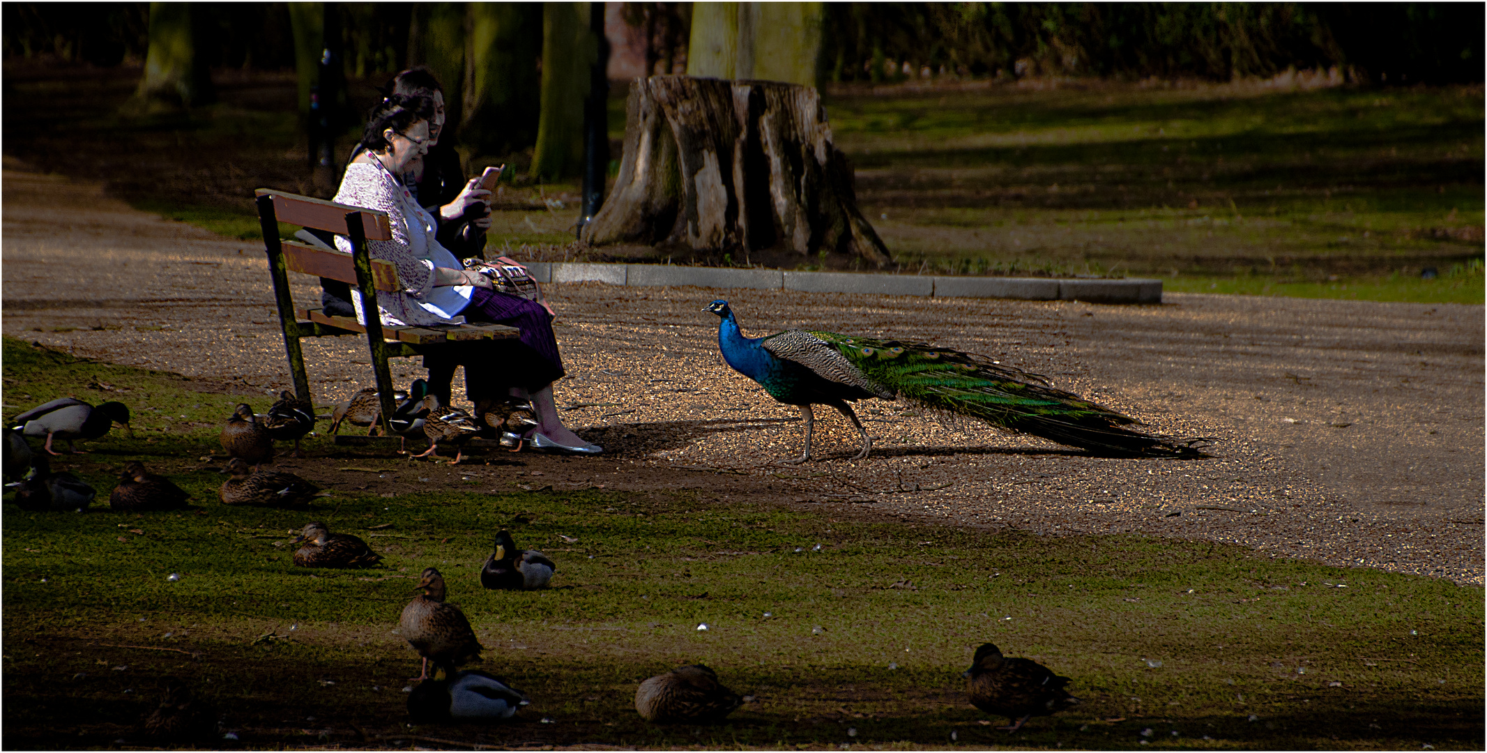 A meeting of friends