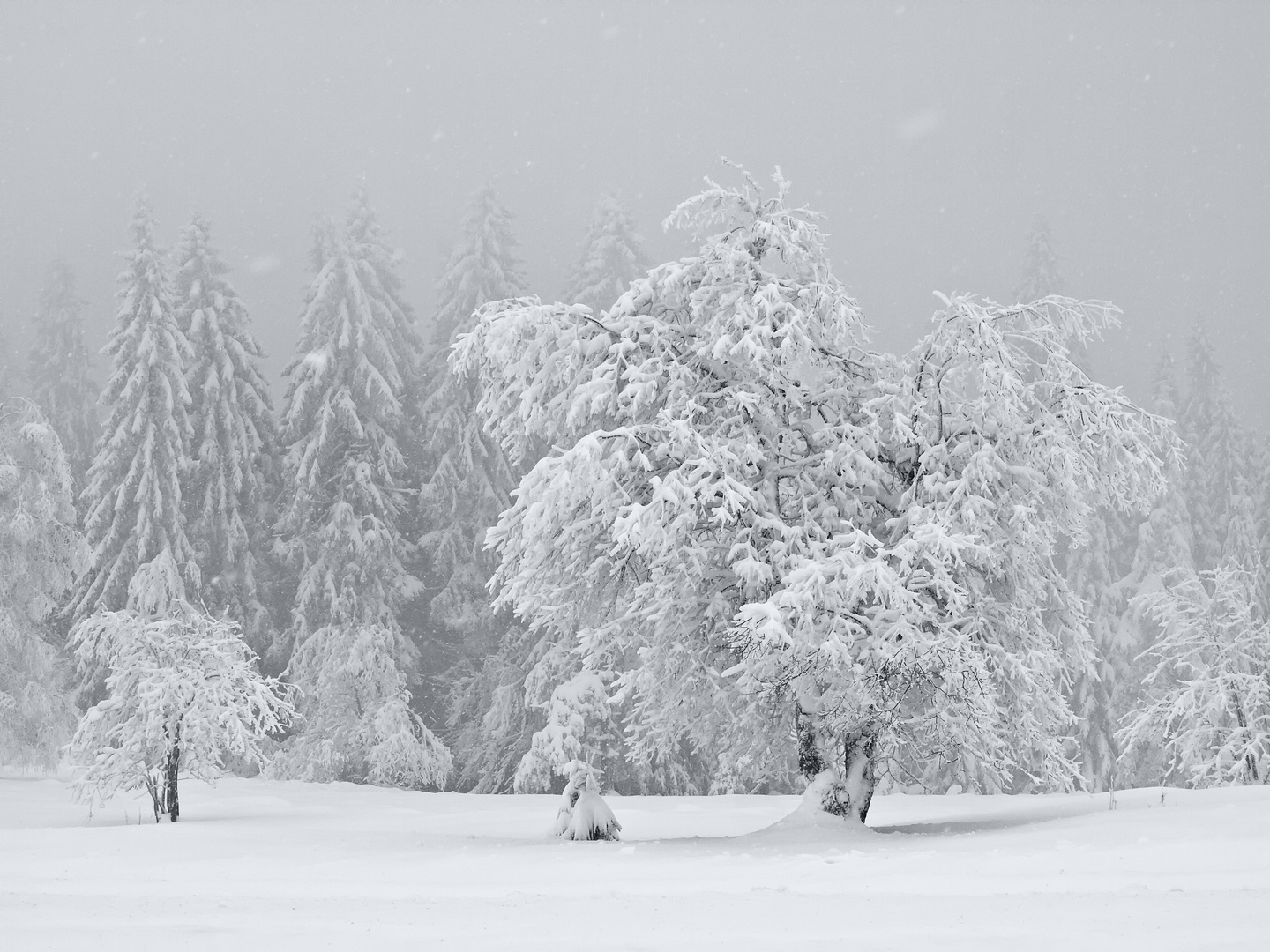 A Menge Schnee....