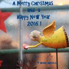 A Merry Christmas and a Happy New Year 2016 to all friends of fotocommunity