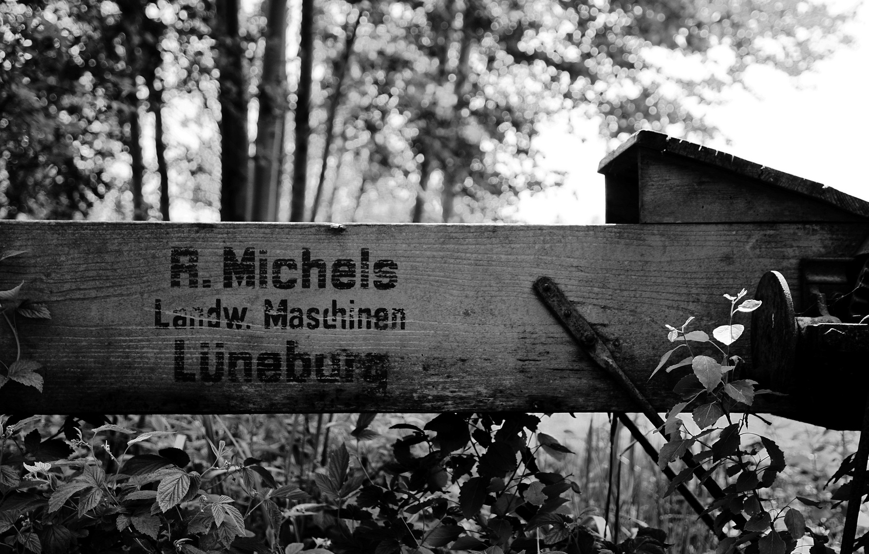 A. Michels Lüneburg #1