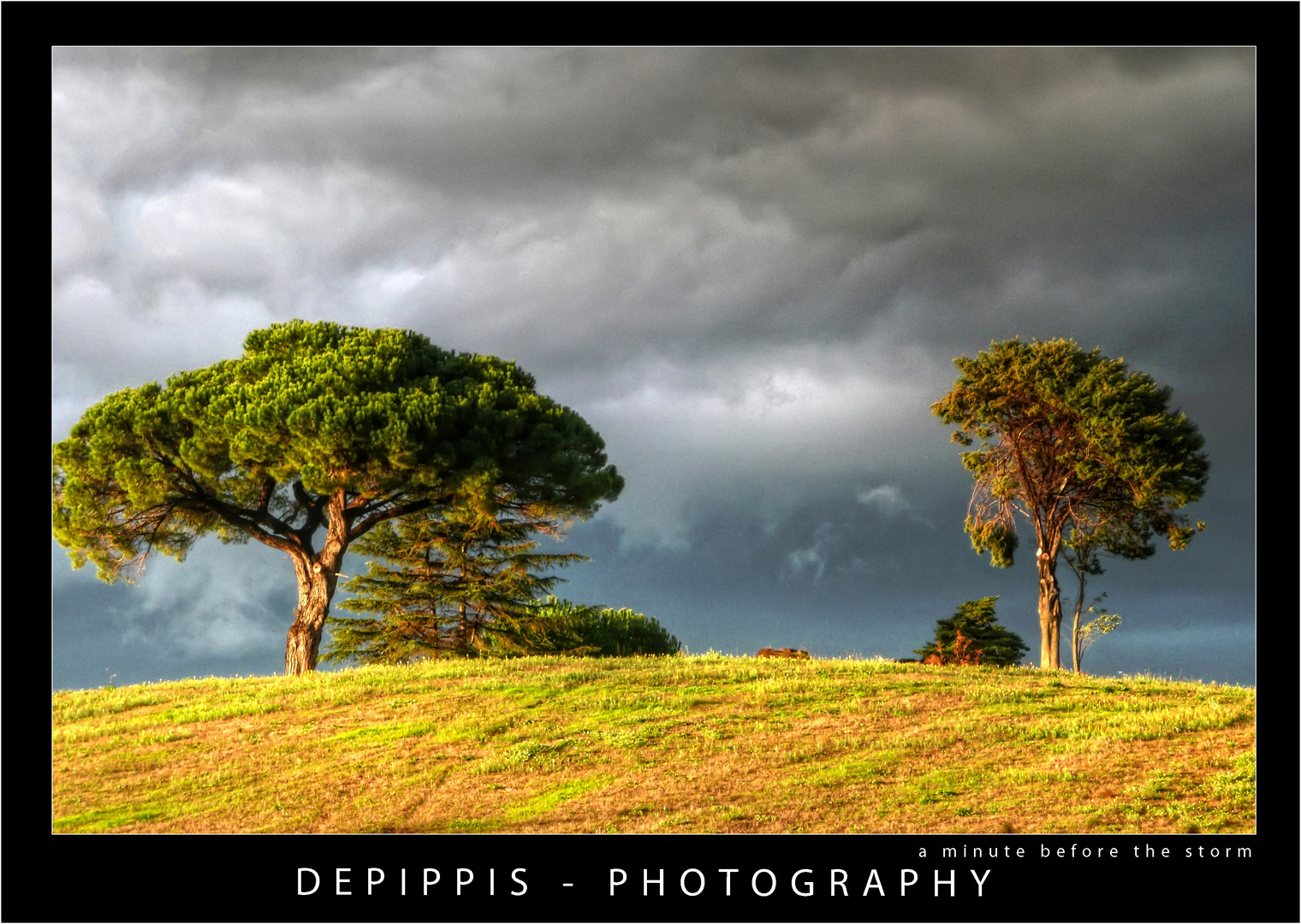 a minute before the storm