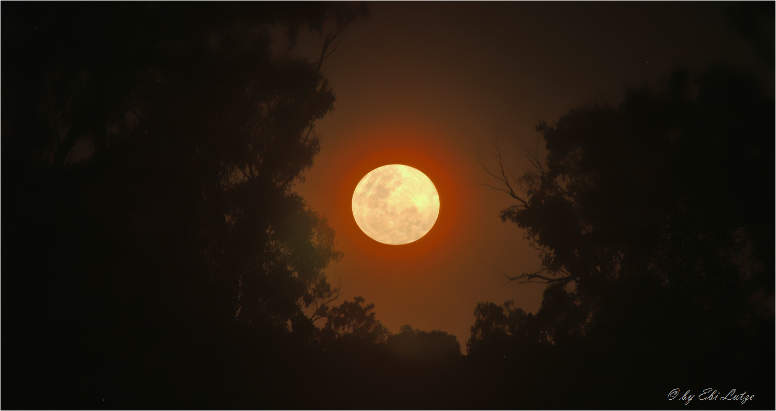 ** A misty Moon after a muggy Day **