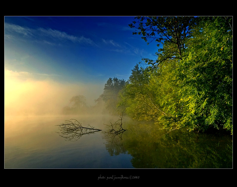 ... a misty morning ...