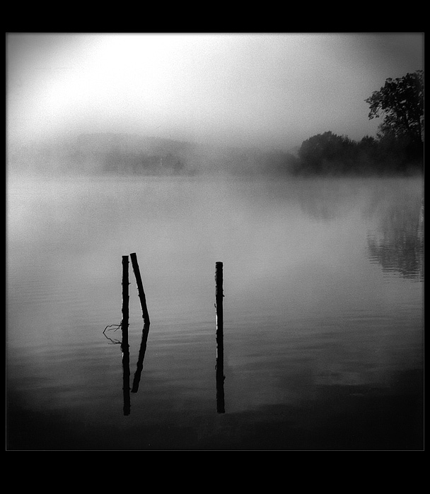 .. a misty morning III. ...