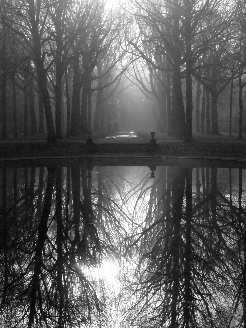 a misty morning near the pool