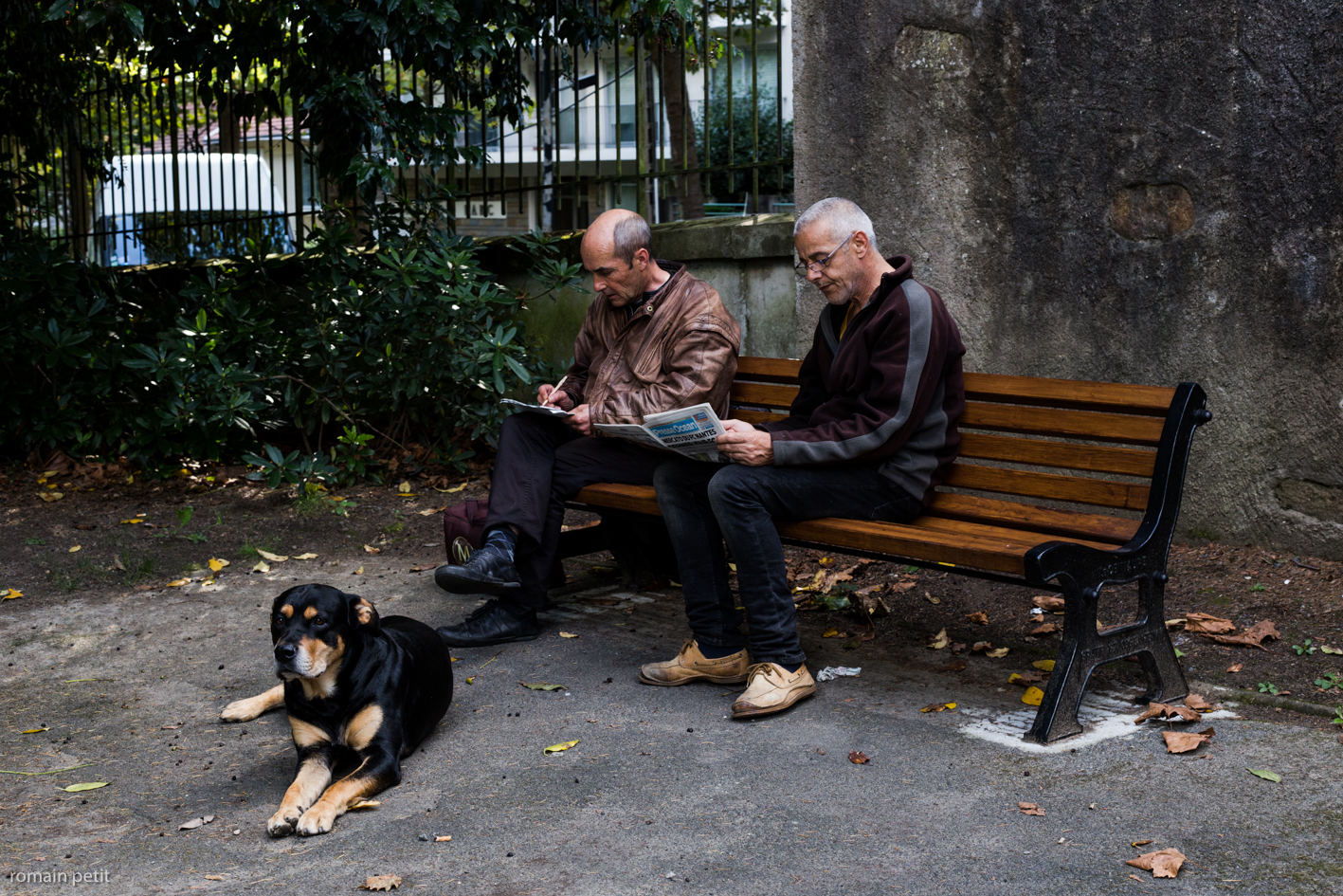 A moment in a park