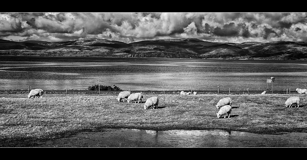 A moment on Arran (s/w)