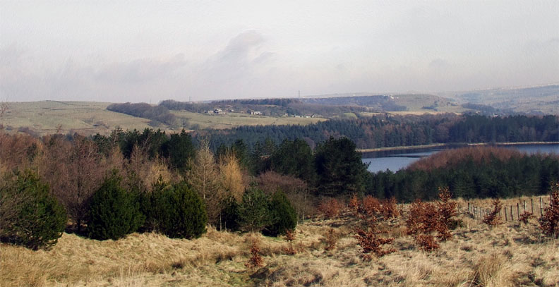 A moor's landscape