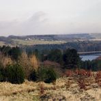 A moor's landscape