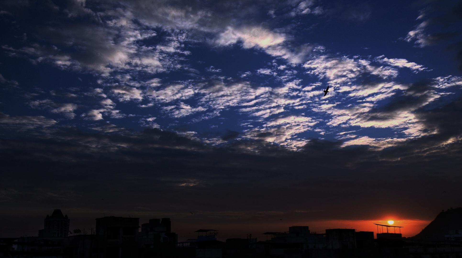 A Morning From my Window: Fly High to Enjoy it