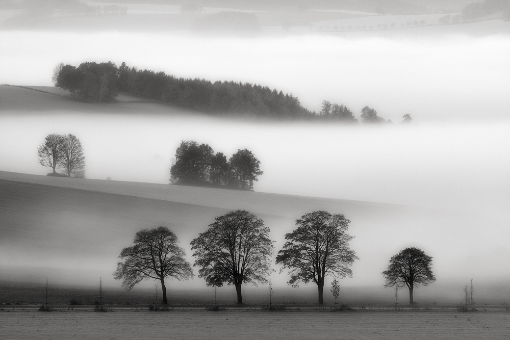 A morning in autumn