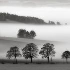 A morning in autumn