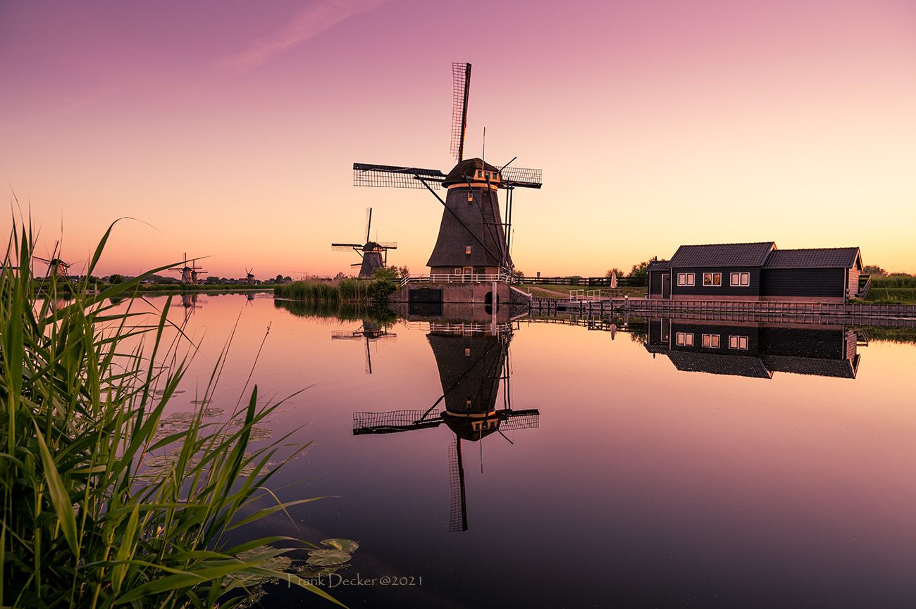 A morning in Kinderdijk